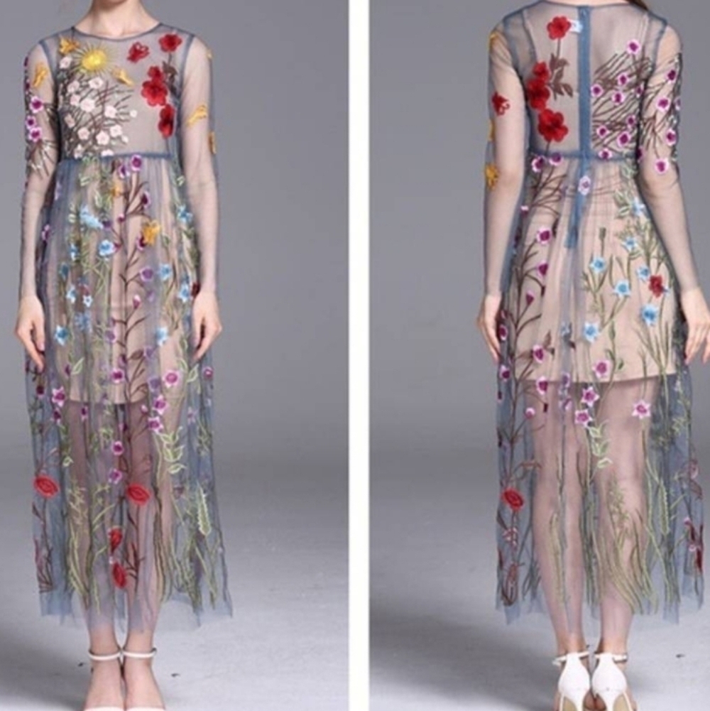 BLUEOXY Floral Embroidered Mesh Overlay Dress - Size XS ** FLAWED - Picture 3 of 16